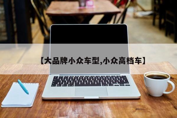 【大品牌小众车型,小众高档车】